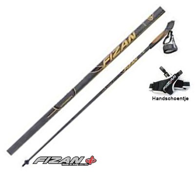 Nordic Walking Stokken Carbon