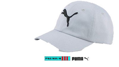 Puma Caps JR 26115-041 Lichtgrijs